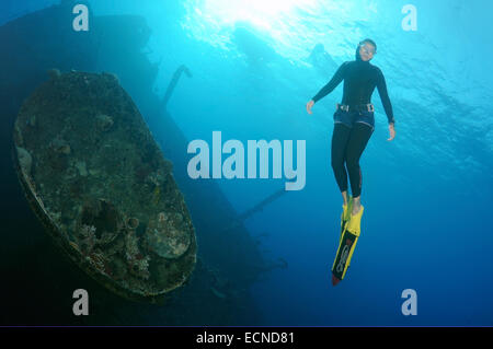 Freediver dives on the wreckship Gianis D. Red Sea, Sharm El Sheikh, Egyp Stock Photo