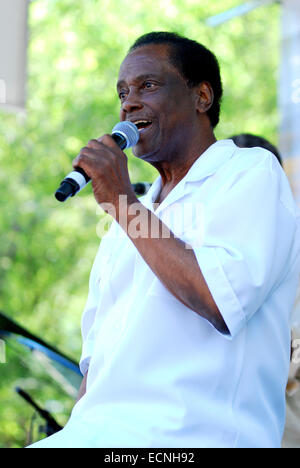 Blues Festival, Grant Park, Chicago, Illinois, USA Stock Photo - Alamy
