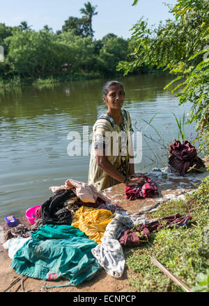 Woman does the laundry standing in the river. Stock Photo