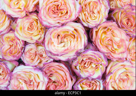 Flower bouquet from red roses with retro filter effect. Closeup. Stock Photo