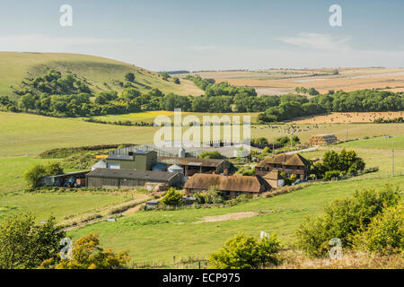 Tolmare Farm in the South Downs National Park near Findon in West Sussex. Stock Photo