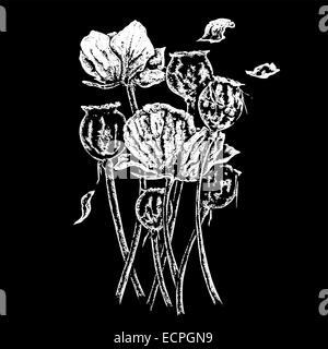 common british opium poppies black and white illustration Stock Vector ...