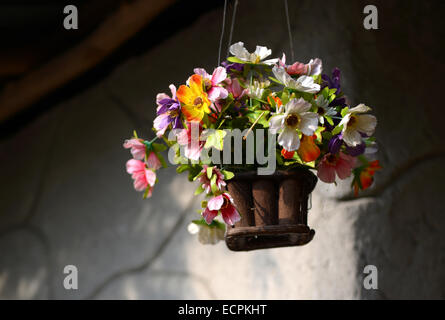 fake flower varicolored in hanging basket for decorative home Stock Photo