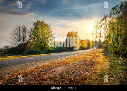 Highway through the beautiful autumn forest and bright sun Stock Photo