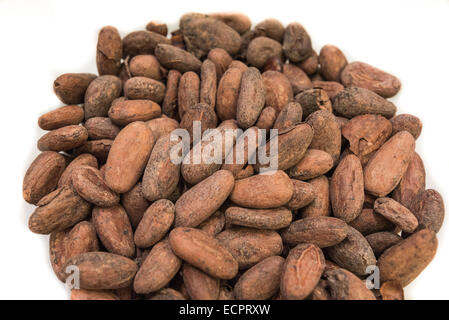 Isolated raw cocoa bean on white background Stock Photo