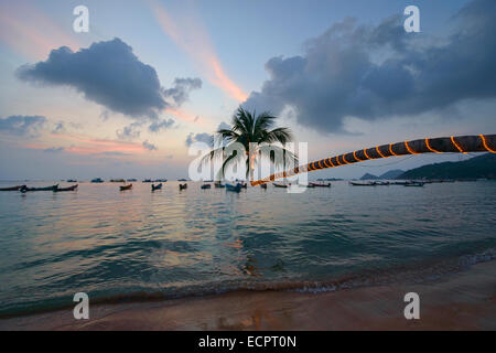 leaning coconut tree on Sairee Beach at sunset, Koh Tao, Thailand Stock Photo