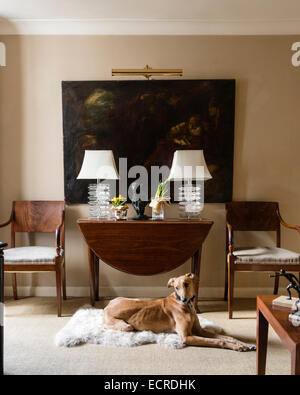 Lurcher lying on floor in front of folding table. The oil painting on the wall is of Saint Jerome Stock Photo