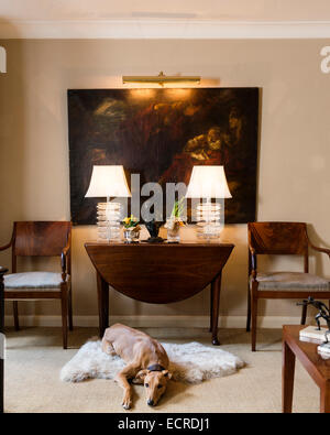 Lurcher lying on floor in front of folding table. The oil painting on the wall is of Saint Jerome Stock Photo