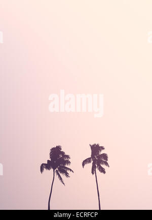 Retro Style Image Of Two Isolated Palm Stock Photo