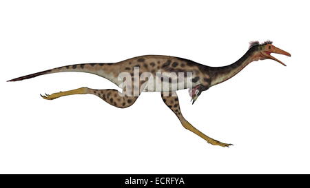 Mononykus dinosaur running in white background- 3D render Stock Photo