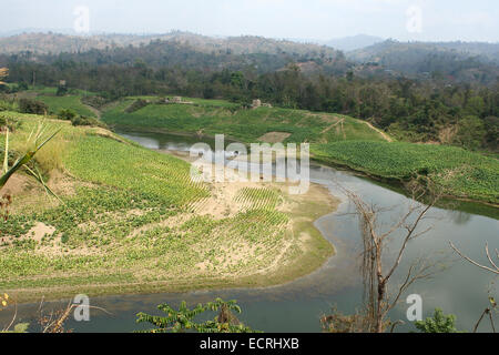 2010.  Tobacco field chittagong in bangladesh. tobacco bangladesh, tobacco plant, tobacco leaf Stock Photo