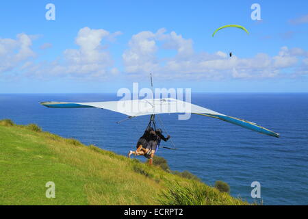 A tandem hang glider launches off Bald Hill, New South Wales, Australia as a paraglider soars over the Pacific Ocean. Stock Photo