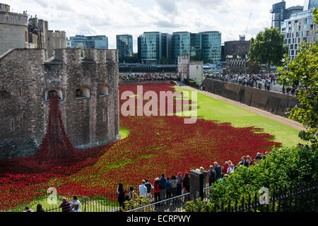 Some of the 888,246 ceramic poppies on August 16, 2014 commemorate the British and colonial military who died in the 1914-1918 First World War, installed at the Tower of London, UK Stock Photo
