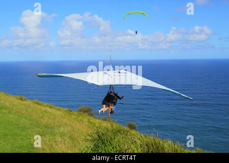 A tandem hang glider launches off Bald Hill, New South Wales, Australia as a paraglider soars over the Pacific Ocean. Stock Photo