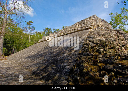 Ball court, Mayan ruins of Coba, Quintana Roo state, Mayan Riviera, Yucatan Peninsula, Mexico Stock Photo