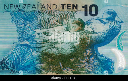 New Zealand 10 Ten Dollar Bank Note Stock Photo