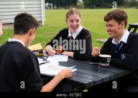 Secondary school education Wales UK:  Four A level 6th form Year 13 students reading writing working on a table bench outside their common room on a warm afternoon. Stock Photo