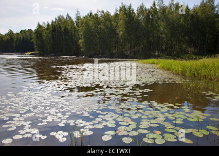 rautavesi lake, vammala village, finland, europe Stock Photo