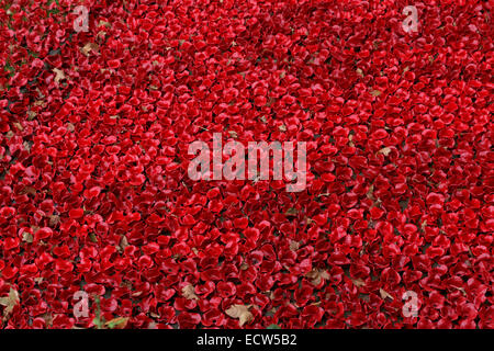 Blood Swept Lands & Seas of Red - detail Stock Photo