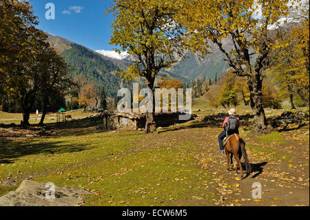 Welcome To Sonamarg, Kashmir Stock Photo: 72656539 - Alamy