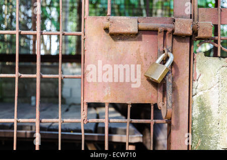 Steel cage door was locked with a key. The problem of illegal wildlife trade Stock Photo