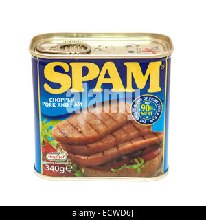 Can of spam, Chopped pork and ham isolated on a white studio background. Stock Photo