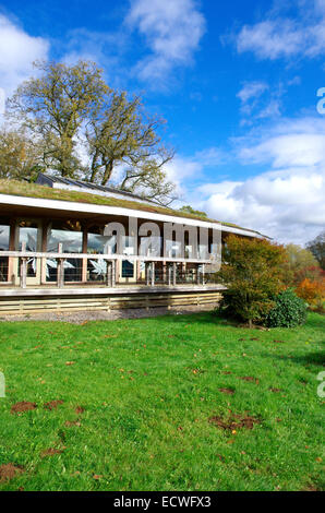 Maples Restaurant, Westonbirt National Arboretum, Gloucestershire, England, UK Stock Photo