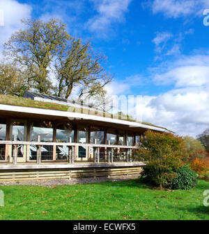 Maples Restaurant, Westonbirt National Arboretum, Gloucestershire, England, UK Stock Photo