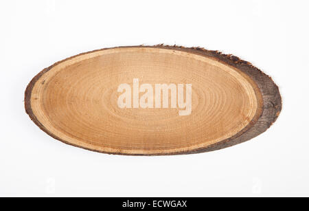 wood slice of a tree trunk sawn on white wooden base Stock Photo