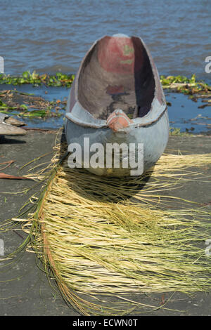 Melanesia, Papua New Guinea, Sepik River area, Village of Kopar. Traditional dugout canoe along the riverbank with palm leaves. Stock Photo