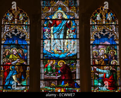 Stained glass window depicting the Assumption of Mary in the cathedral of Burgos, Castille, Spa Stock Photo