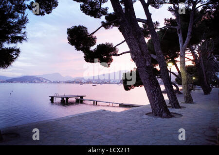 View of huge trees and empty jetty in bay with mountains in background Stock Photo