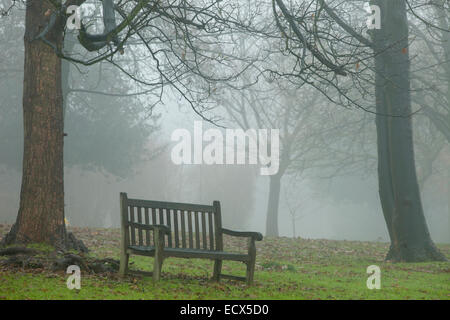 Foggy winter day at a cemetery in Brighton, East Sussex, England. Stock Photo