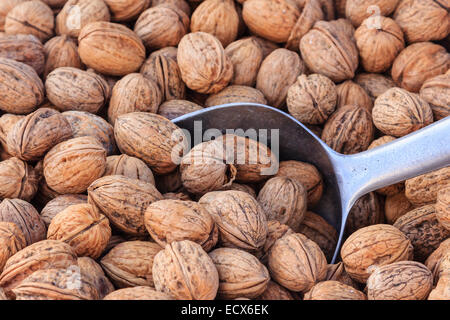 Many walnuts in a basket on a shovel Stock Photo