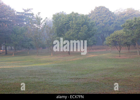 landscape savar in Dhaka. Stock Photo