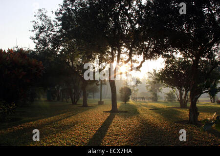 landscape savar in Dhaka. Stock Photo