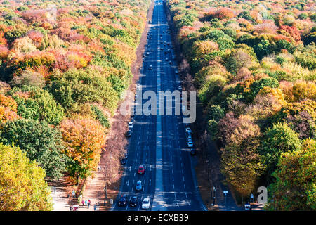 alley in a forest on a sunny autumn day Stock Photo