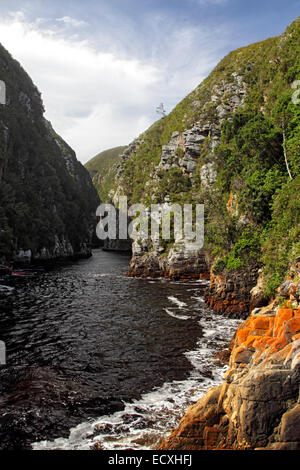 View on the river mouth of the Storms River in the Tsitsikamma National Park, South Africa. Stock Photo