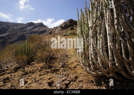 Gran Canaria - Presa del Parralillo, dam in the mountains. Mountain scenery next to the dam. Stock Photo