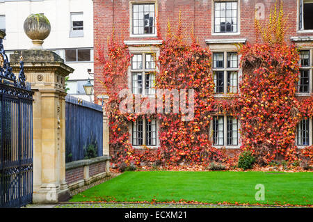 Red ivy growing on St Catharine's College seen from Trumpington Street, Cambridge Cambridgeshire England United Kingdom UK Stock Photo