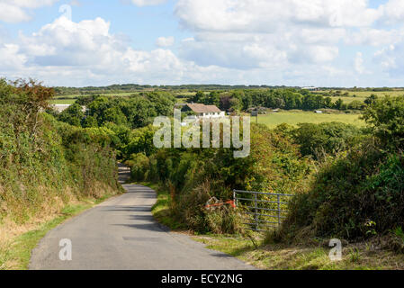 landscape with a small country road bending between green hedges in hilly lush country, shot in summer bright light Stock Photo