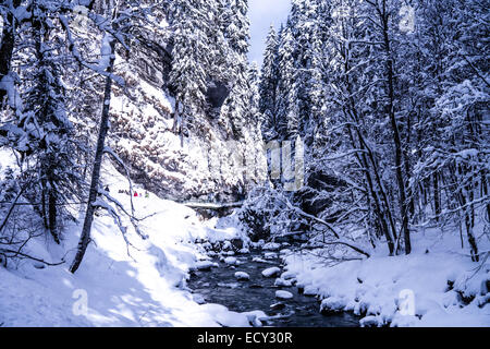 a river and trees (breitachklamm in bavaria in winter) Stock Photo