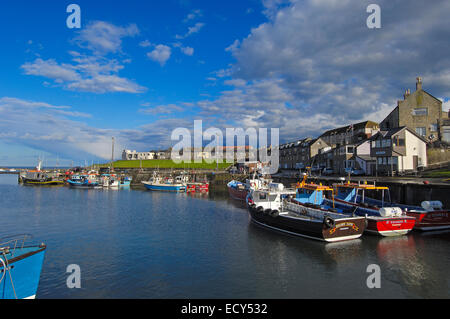 Fishing boats in harbour, seahouses, Northumberland, England, UK, Europe Stock Photo