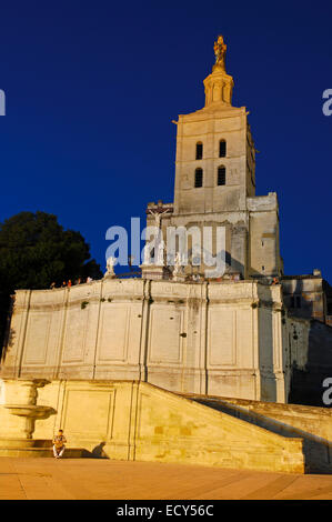 Notre Dame des Doms Cathedral at dusk, Avignon, Vaucluse, Provence-Alpes-Côte d'Azur, Rhone valley, Provence, France, Europe Stock Photo