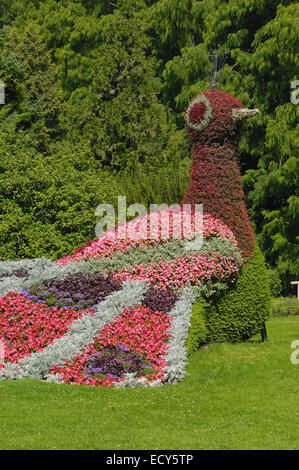 Flowers sculpture, Mainau, Flower Island, Lake Constance, Bodensee, Baden-Wuerttemberg Stock Photo