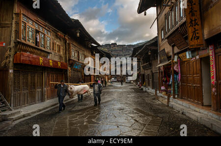 Men carrying pig, XiJiang, Guizhou province, China Stock Photo