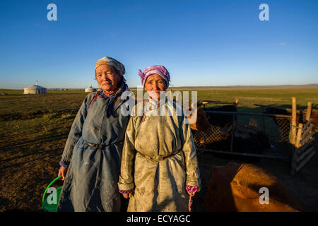 Mongolian nomad women milking cows on the steppe, Mongolia Stock Photo