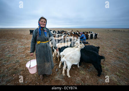 Mongolian nomads milking goats on the Gobi desert, Mongolia Stock Photo