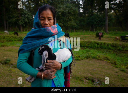 Woman with baby goat, Western Terai, Nepal Stock Photo