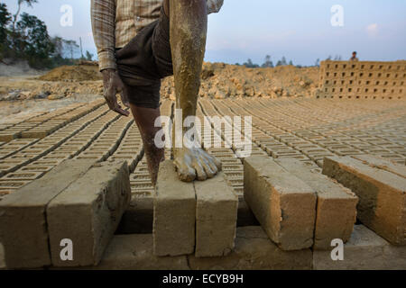 Workers of a brick factory, Mahendranagar, Nepal Stock Photo